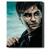 Malowanie Po Numerach Zestaw Harry Potter i Różdżka 40x50